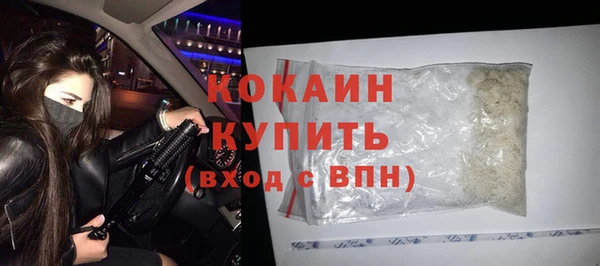 сатива Горняк