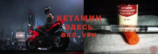 сатива Горняк