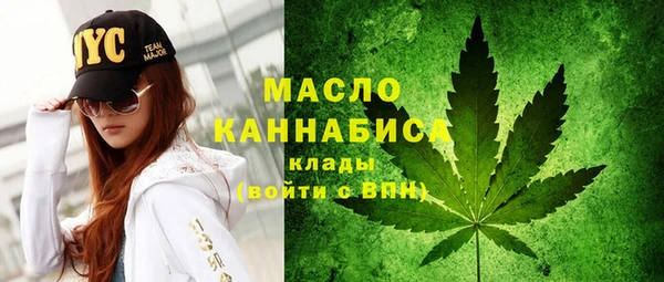 сатива Горняк