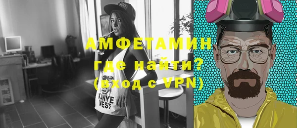 сатива Горняк