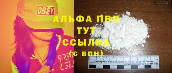 сатива Горняк