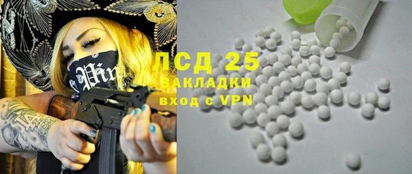 сатива Горняк